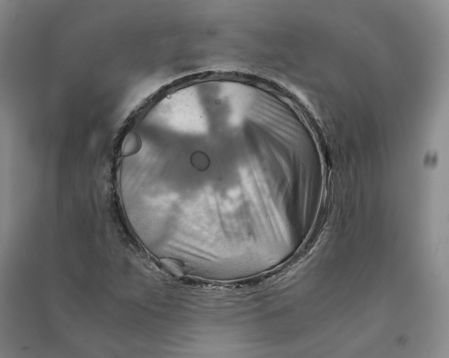 X0000090881263200708171638