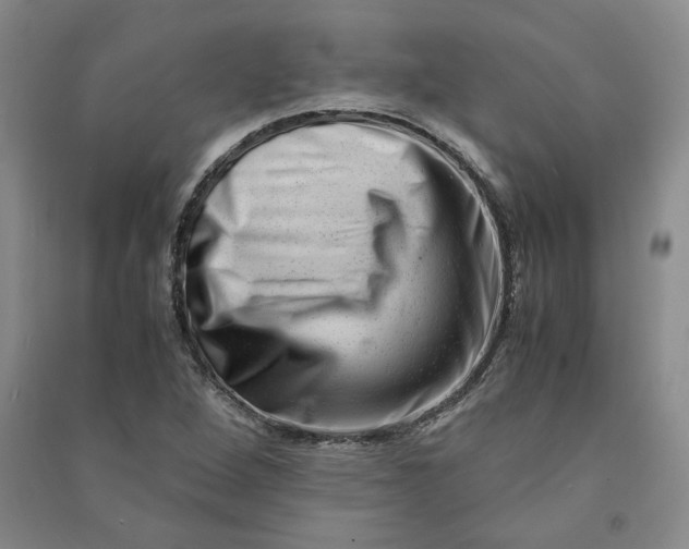 X0000090881264200708171638