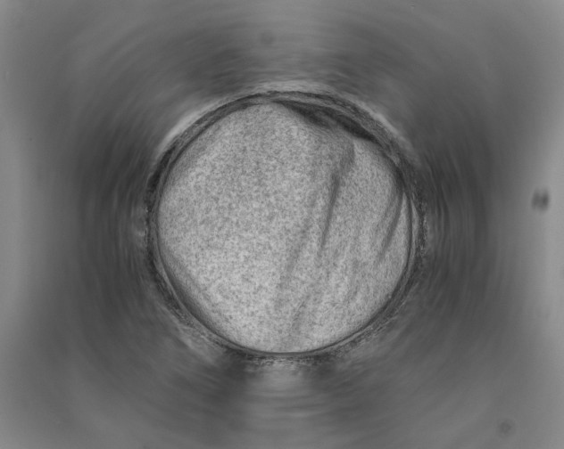 X0000090881266200708171638