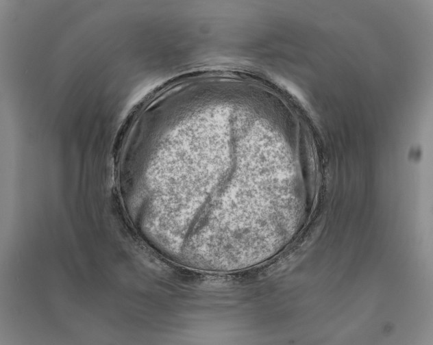 X0000090881267200708171638