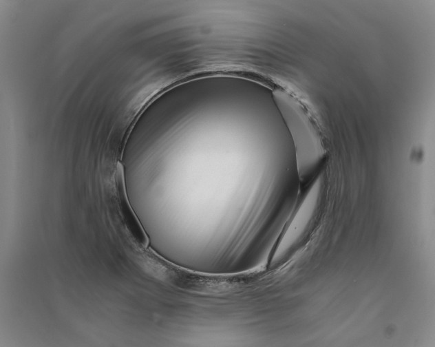 X0000090881273200708171638