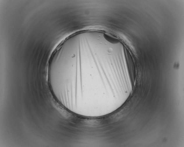 X0000090881276200708171638