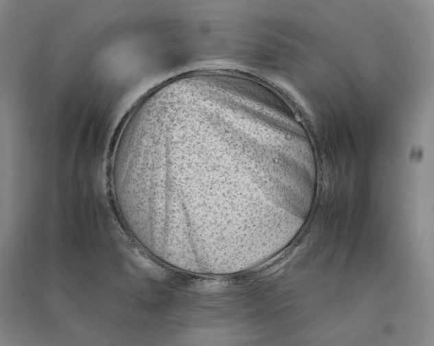 X0000090881278200708171638