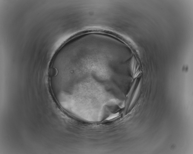 X0000090881279200708171638