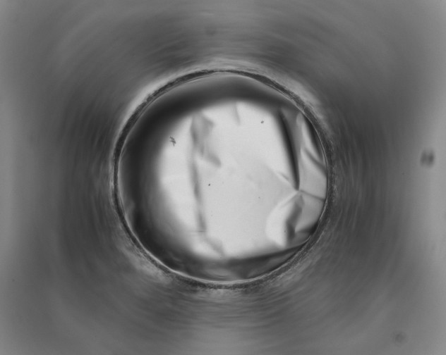 X0000090881280200708171638