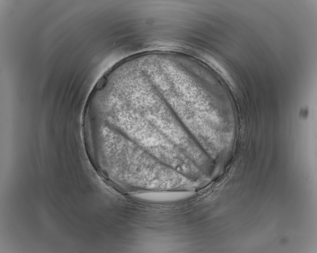X0000090881283200708171638