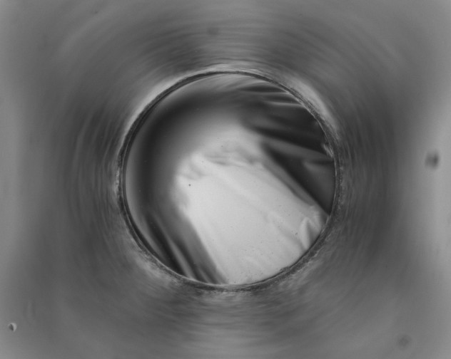 X0000090881284200708171638