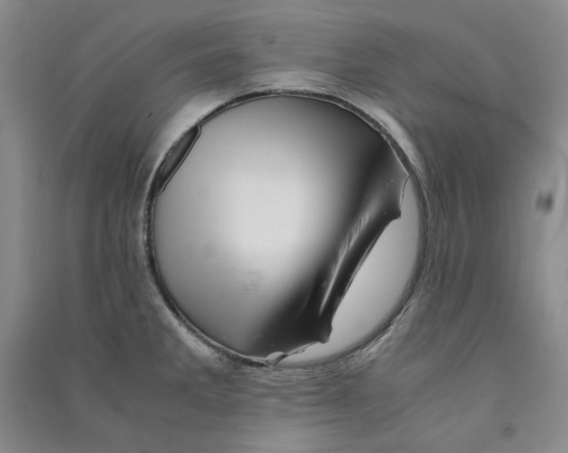X0000090881285200708171638