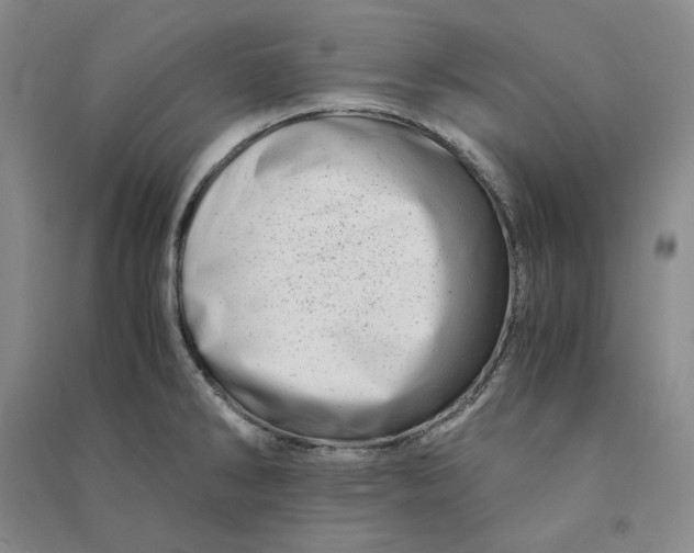 X0000090881286200708171638