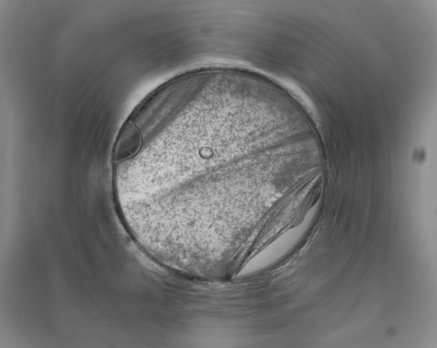 X0000090881287200708171638