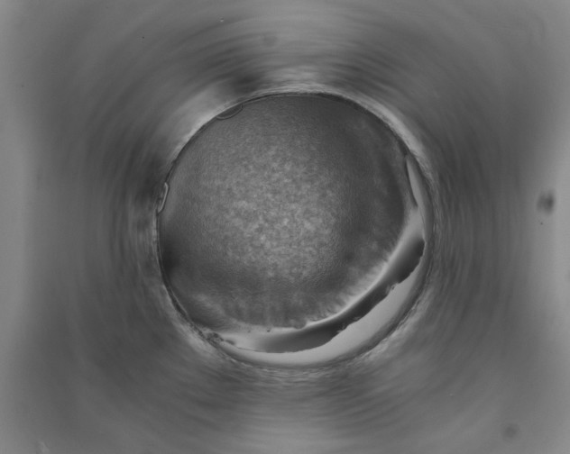 X0000090881289200708171638