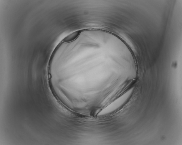 X0000090881291200708171638