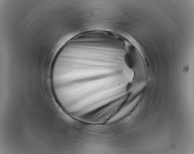 X0000090881293200708171638