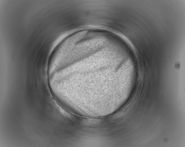X0000090881294200708171638