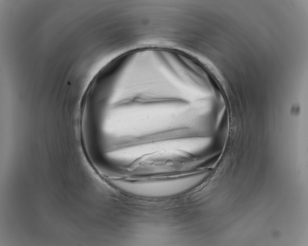 X0000090881295200708171638