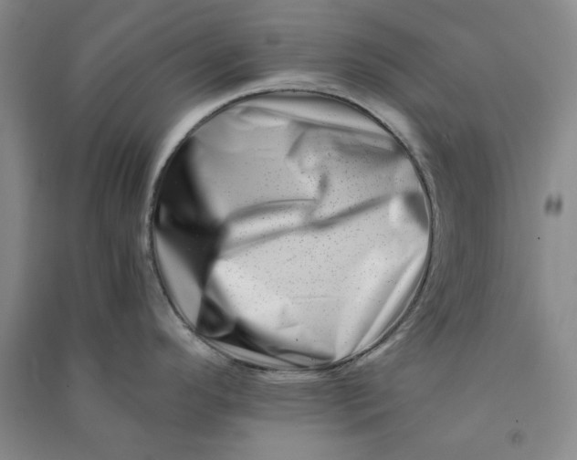 X0000090881296200708171638