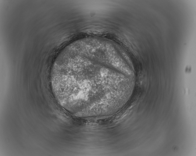 X0000090881297200708171637