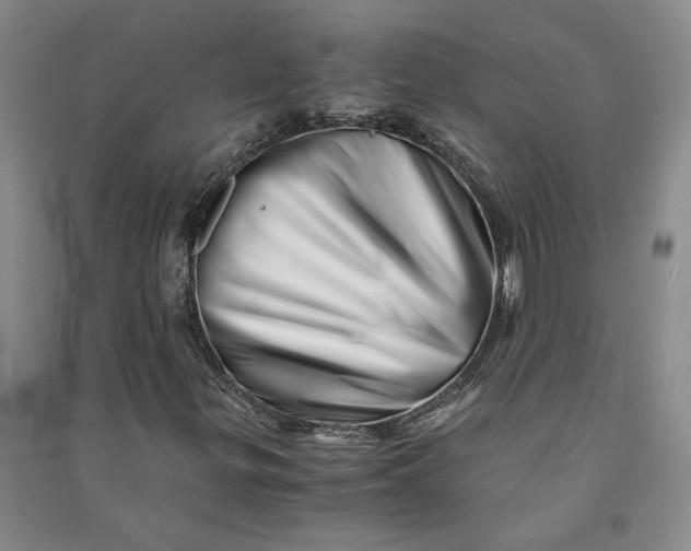 X0000090881299200708171637