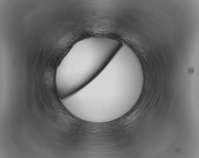 X0000090881300200708171637