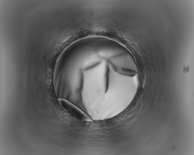 X0000090881301200708171637