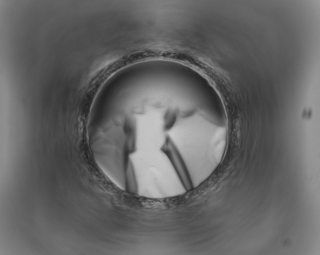 X0000090881302200708171637