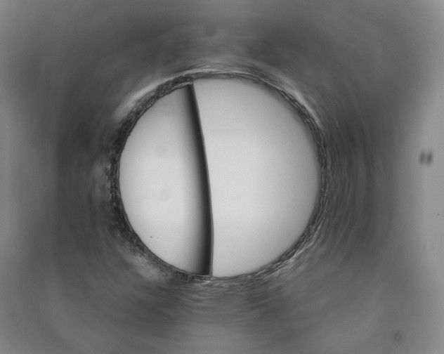 X0000090881304200708171637
