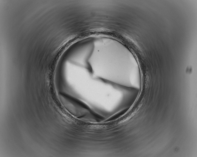 X0000090881305200708171637