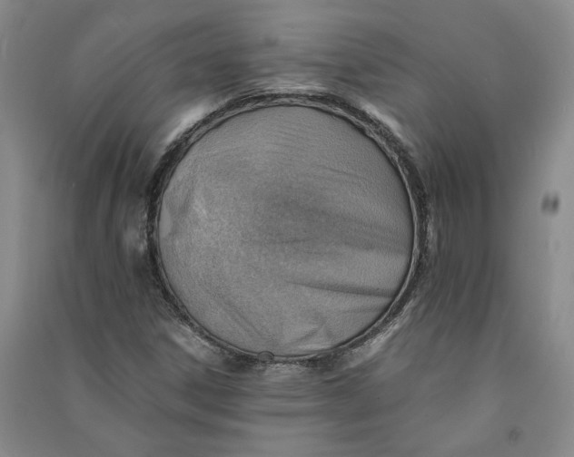 X0000090881306200708171637