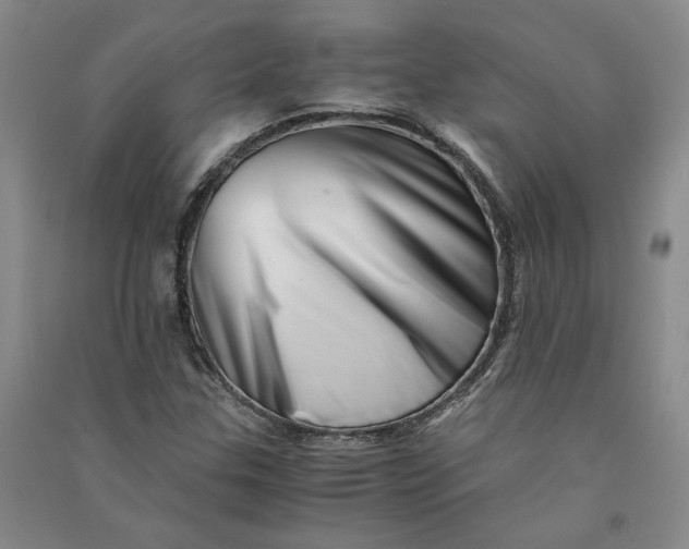 X0000090881307200708171637
