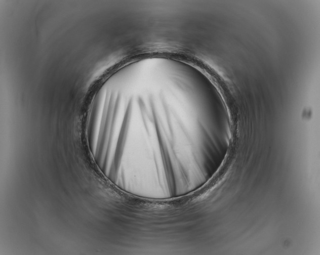 X0000090881309200708171637