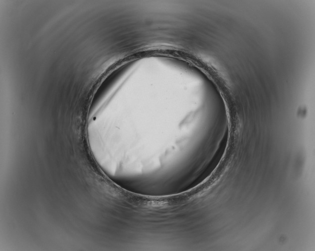 X0000090881313200708171637