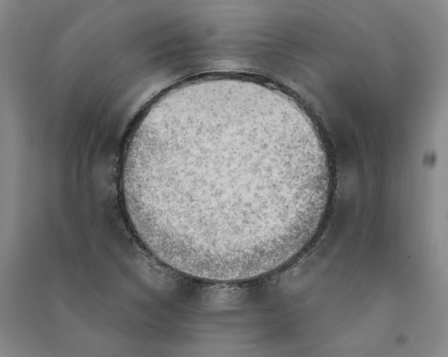 X0000090881314200708171637