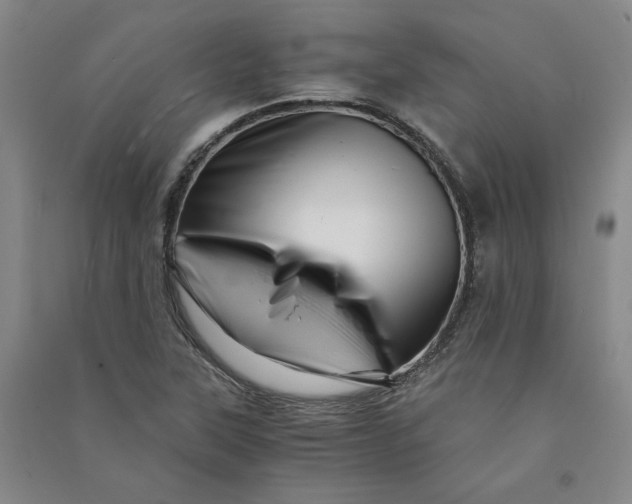 X0000090881315200708171637