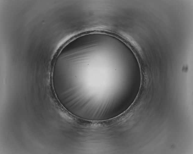 X0000090881316200708171638