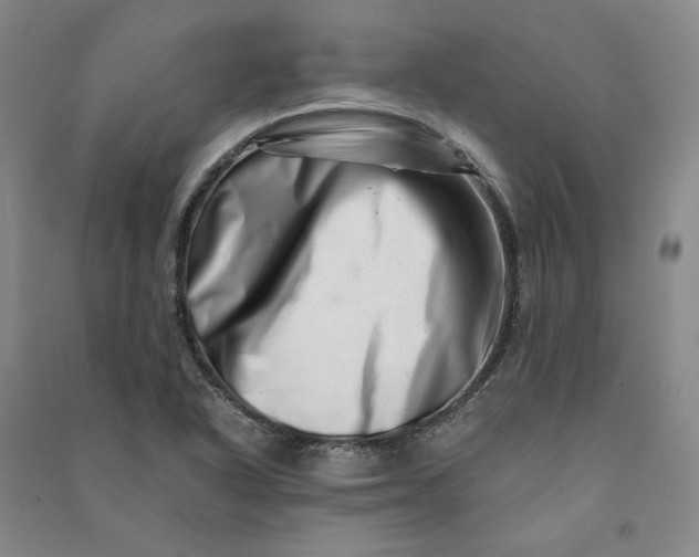 X0000090881318200708171638