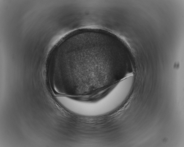 X0000090881319200708171638