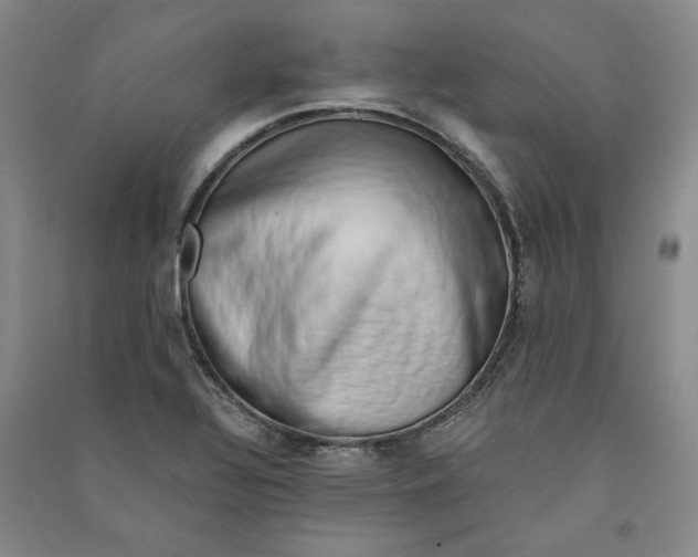 X0000090881320200708171638