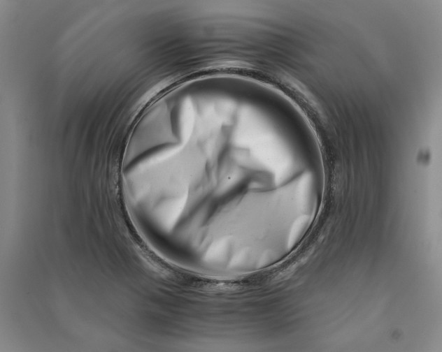 X0000090881321200708171638