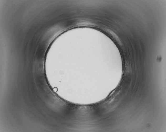 X0000090881322200708171638