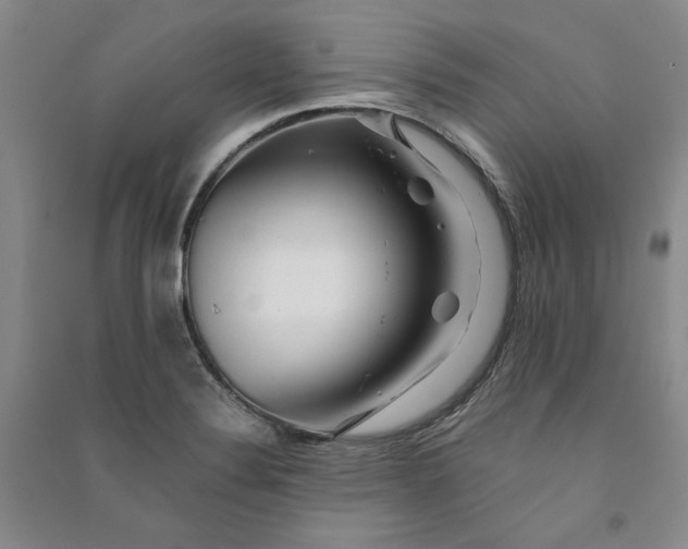X0000090881324200708171638