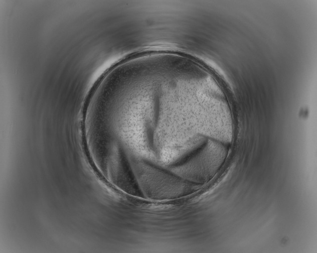 X0000090881325200708171638