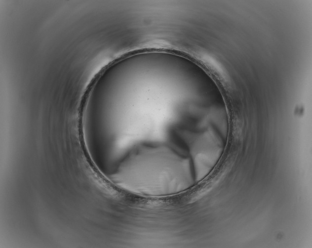X0000090881326200708171638