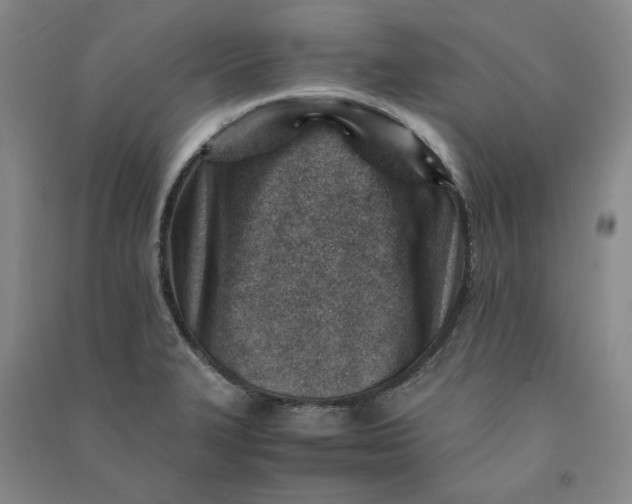 X0000090881327200708171638