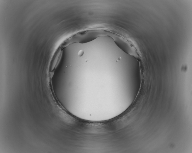 X0000090881328200708171638