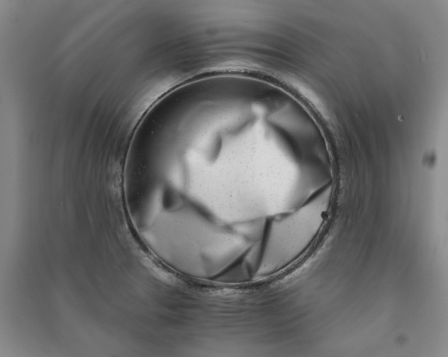 X0000090881329200708171638