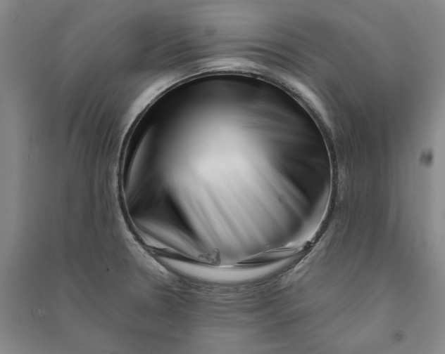X0000090881330200708171638