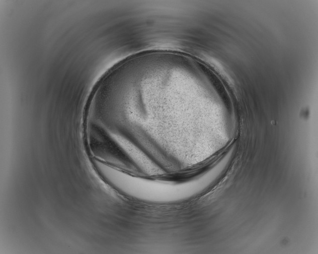 X0000090881331200708171638