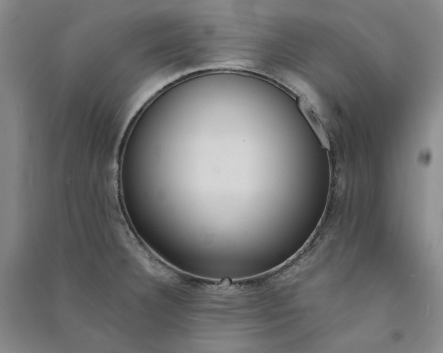 X0000090881332200708171638
