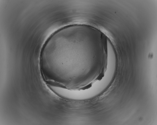 X0000090881334200708171638