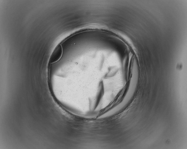 X0000090881335200708171638
